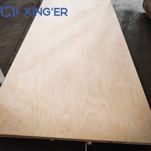 BIRCH PLYWOOD