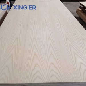 ASH PLYWOOD