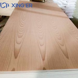 BEECH PLYWOOD