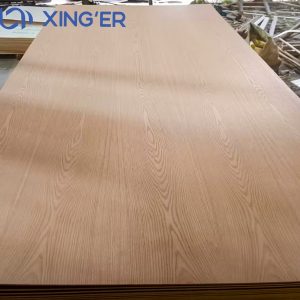 RED OAK PLYWOOD