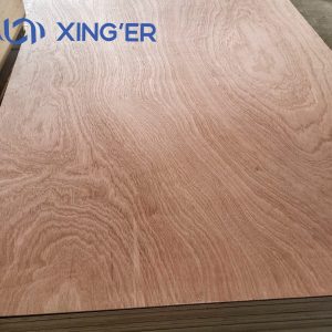 SAPELE PLYWOOD
