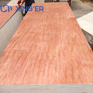BINTANGOR PLYWOOD