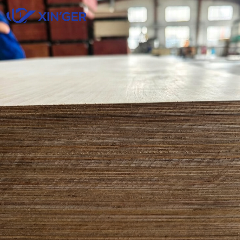 BIRCH PLYWOOD - 图片 5
