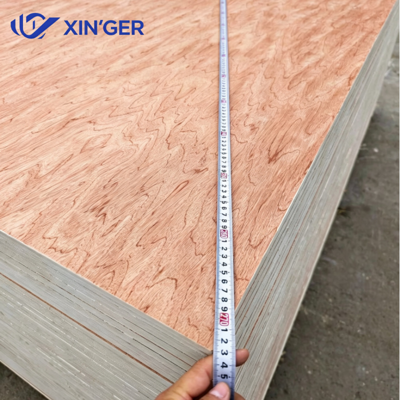 BINTANGOR PLYWOOD - 图片 5