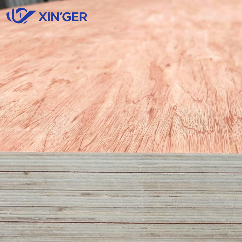 BINTANGOR PLYWOOD - 图片 4