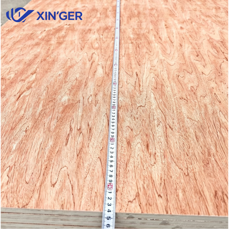 BINTANGOR PLYWOOD - 图片 3