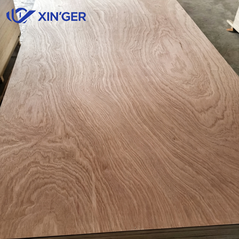 SAPELE PLYWOOD - 图片 2