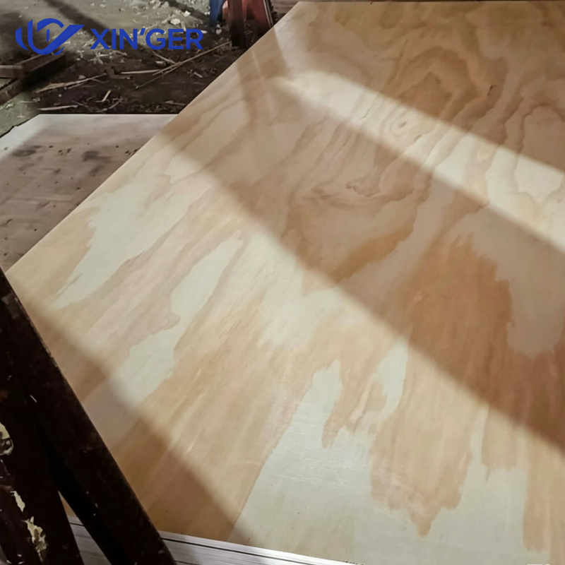 PINE PLYWOOD - 图片 4