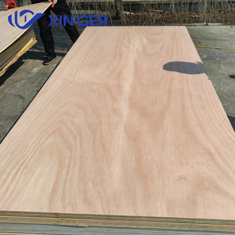 OKOUME PLYWOOD - 图片 3