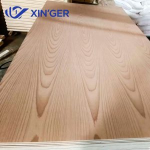BEECH PLYWOOD
