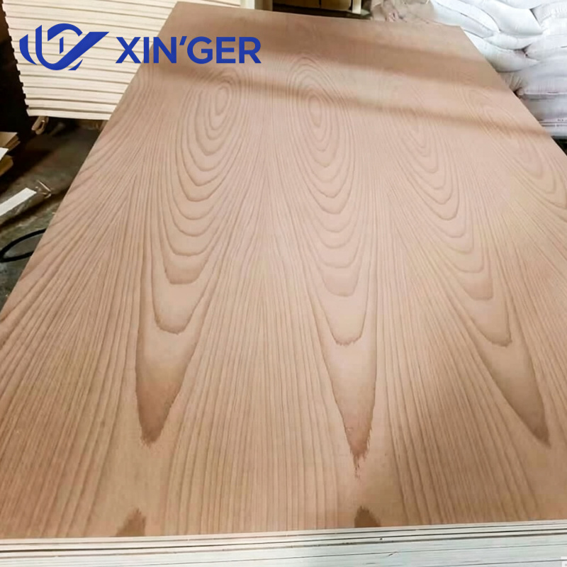BEECH PLYWOOD