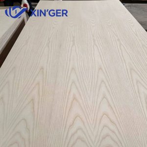 ASH PLYWOOD